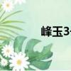 峰玉3號（關于峰玉3號簡介）
