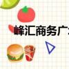 峰匯商務廣場（關于峰匯商務廣場簡介）