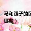 馬和騾子的區別是什么（馬和騾子的區別都有哪些）