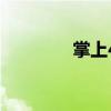 掌上4s（關于掌上4s簡介）