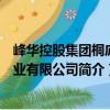 峰華控股集團桐廬置業有限公司（關于峰華控股集團桐廬置業有限公司簡介）