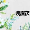 峨眉茯蕨（關于峨眉茯蕨簡介）