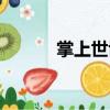 掌上世博（關于掌上世博簡介）