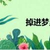 掉進夢里（關于掉進夢里簡介）