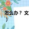 怎么辦？ 文庫本（關于怎么辦？ 文庫本介紹）