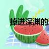 掉進深淵的愛（關于掉進深淵的愛簡介）