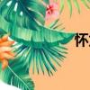 懷龍（關于懷龍介紹）