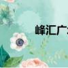 峰匯廣場（關于峰匯廣場簡介）