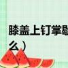 膝蓋上釘掌歇后語（關于膝蓋上釘掌后面是什么）