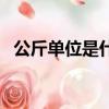公斤單位是什么字母（公斤單位怎么表示）
