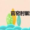 官窯肘骺戲（關于官窯肘骺戲介紹）