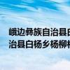 峨邊彝族自治縣白楊鄉楊柳村志愿服務隊（關于峨邊彝族自治縣白楊鄉楊柳村志愿服務隊簡介）
