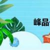 峰品子（關于峰品子簡介）