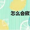 怎么會寂寞（關于怎么會寂寞介紹）