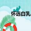懷遠白乳泉（關于懷遠白乳泉介紹）
