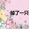 掉了一只鞋（關于掉了一只鞋簡介）