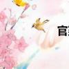 官窺（關于官窺介紹）