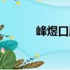 峰煜口腔（關于峰煜口腔簡介）