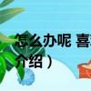 怎么辦呢 喜歡上你（關于怎么辦呢 喜歡上你介紹）