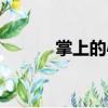 掌上的心（關于掌上的心簡介）