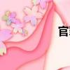 官罪（關于官罪介紹）