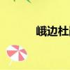 峨邊杜鵑（關于峨邊杜鵑簡介）