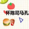 懷陳司馬孔震（關于懷陳司馬孔震介紹）