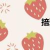 掊聚（關于掊聚簡介）
