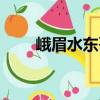 峨眉水東哥（關于峨眉水東哥簡介）