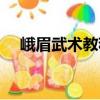峨眉武術教程（關于峨眉武術教程簡介）
