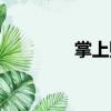掌上購（關于掌上購簡介）