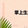 掌上生活（關于掌上生活簡介）