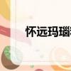 懷遠瑪瑙籽（關于懷遠瑪瑙籽介紹）