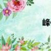 峰位（關于峰位簡介）