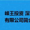 峰王投資 深圳有限公司（關于峰王投資 深圳有限公司簡介）