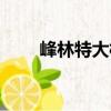 峰林特大橋（關于峰林特大橋簡介）