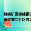 峰峰礦區峰峰鎮太安二社區志愿服務隊（關于峰峰礦區峰峰鎮太安二社區志愿服務隊簡介）