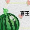 官王村（關于官王村介紹）