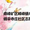 峰峰礦區峰峰鎮辛寺莊社區志愿服務隊（關于峰峰礦區峰峰鎮辛寺莊社區志愿服務隊簡介）