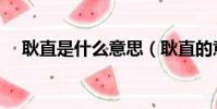 耿直是什么意思(耿直的意思簡單介紹)