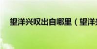 望洋興嘆出自哪里(望洋興嘆簡單介紹)