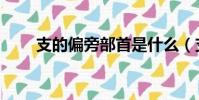 支的偏旁部首是什么(支部首介紹)