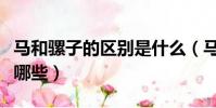 馬和騾子的區別是什么(馬和騾子的區別都有哪些)