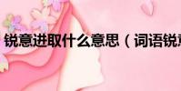 銳意進取什么意思(詞語銳意進取什么意思)