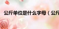 公斤單位是什么字母(公斤單位怎么表示)