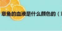 章魚的血液是什么顏色的(章魚的血液介紹)