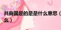 共商國是的是是什么意思(共商國是的意思什么)