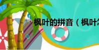 楓葉的拼音(楓葉怎么讀)