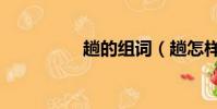 趟的組詞(趟怎樣組詞)