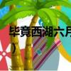畢竟西湖六月中的詩意（畢竟西湖六月中詩意）